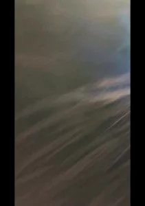 电竞酒店口爆昆明熟女九九