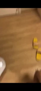 调教母狗之07年舞蹈生狗链爬行，完整版私，门槛99